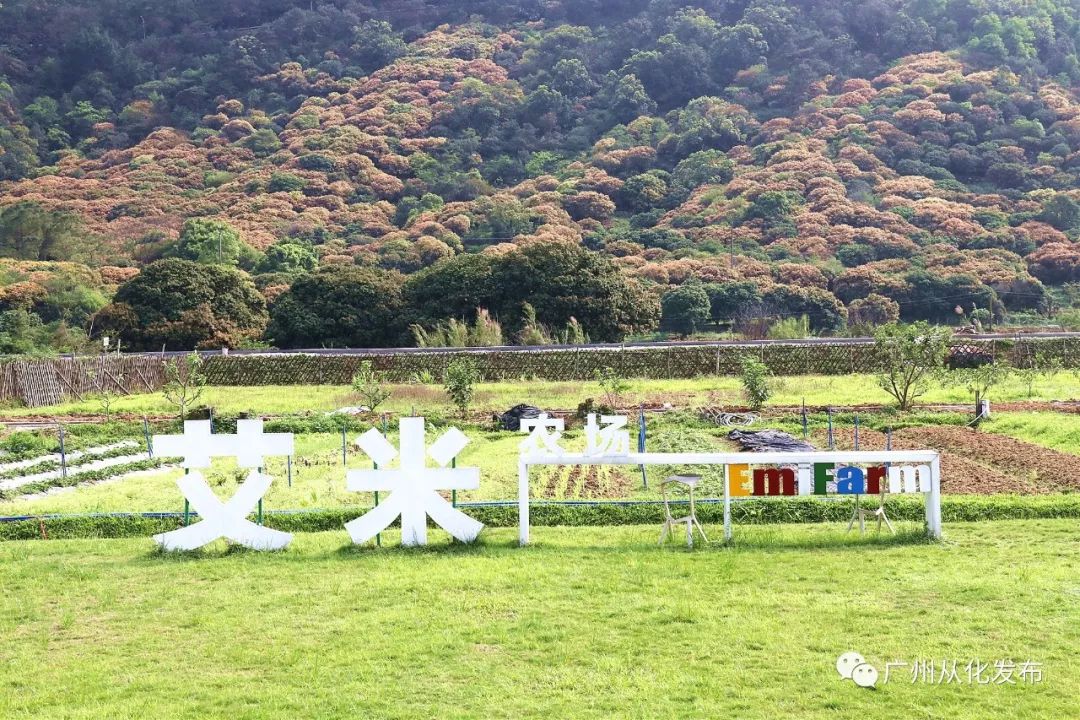 广东省艾米莉亚大区,广东省艾米莉亚大区的魅力之旅