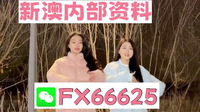 管家婆一码一肖100准,关于管家婆一码一肖100%准确的真相探究——揭示背后的潜在风险与违法犯罪问题