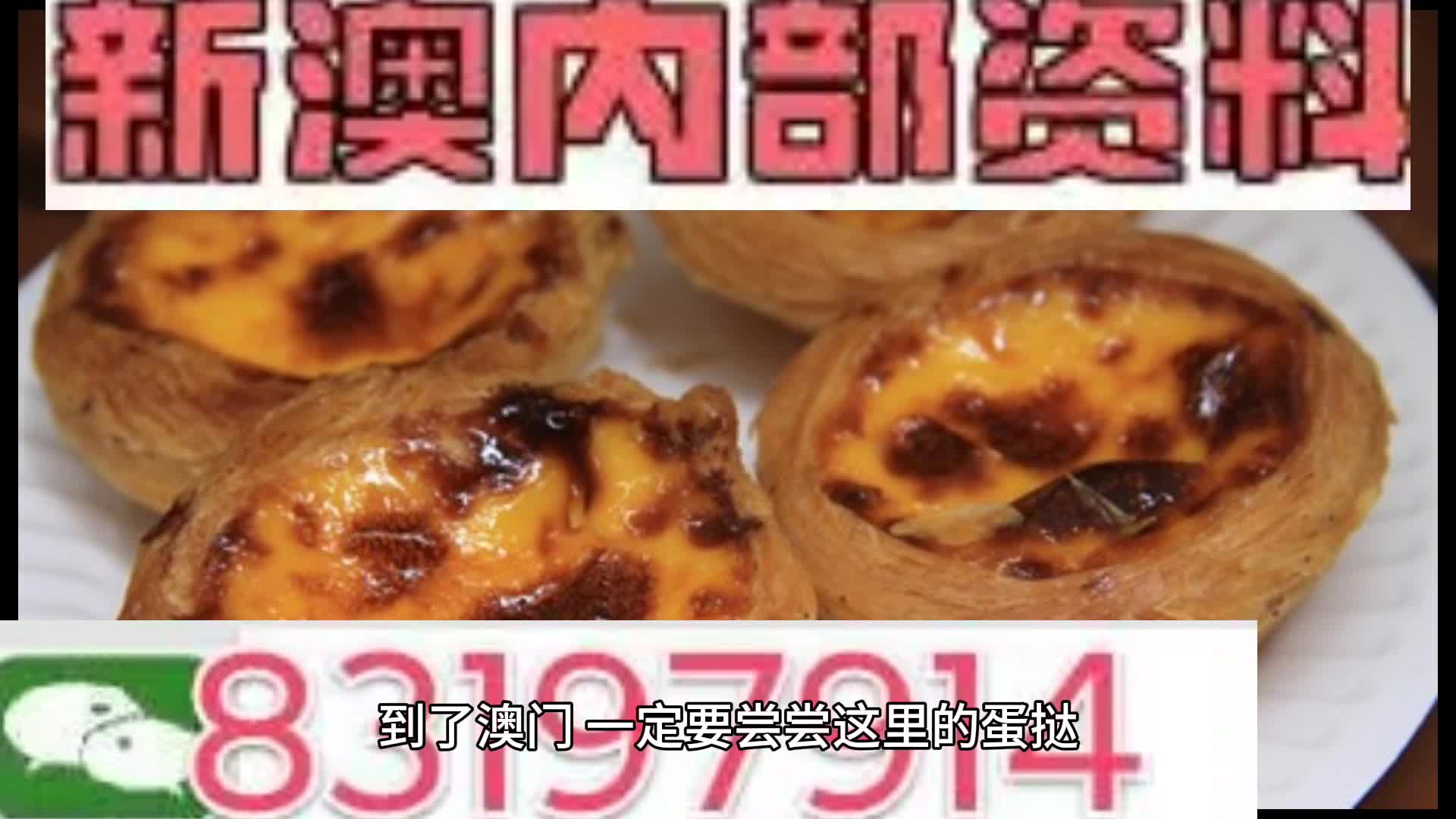 2024新奥正版资料大全,2024新奥正版资料大全概览