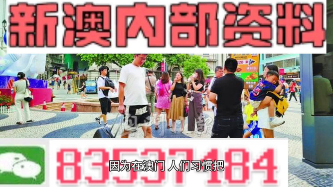 2024年新澳门正版资料精选,关于澳门正版资料精选与犯罪预防的探讨