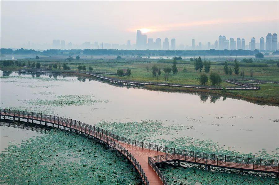 最新的台风路径,最新的台风路径分析及其影响