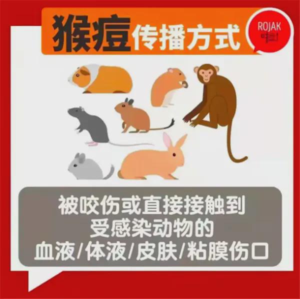 猴痘疫情最新消息,猴痘疫情最新消息，全球防控形势与应对策略