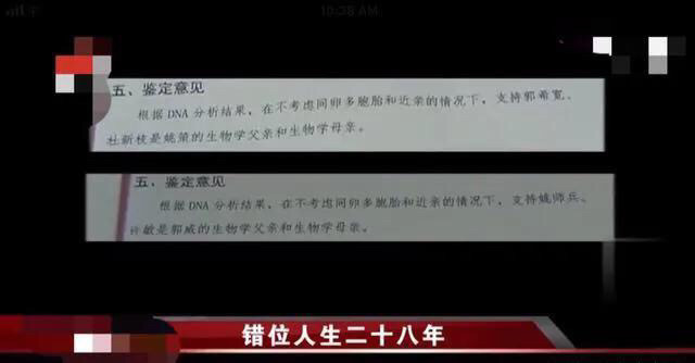 错换人生28年最新消息,错换人生28年，最新消息与深度剖析