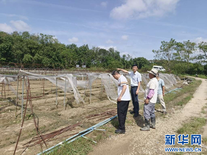 右江区农业农村局最新新闻,右江区农业农村局最新新闻