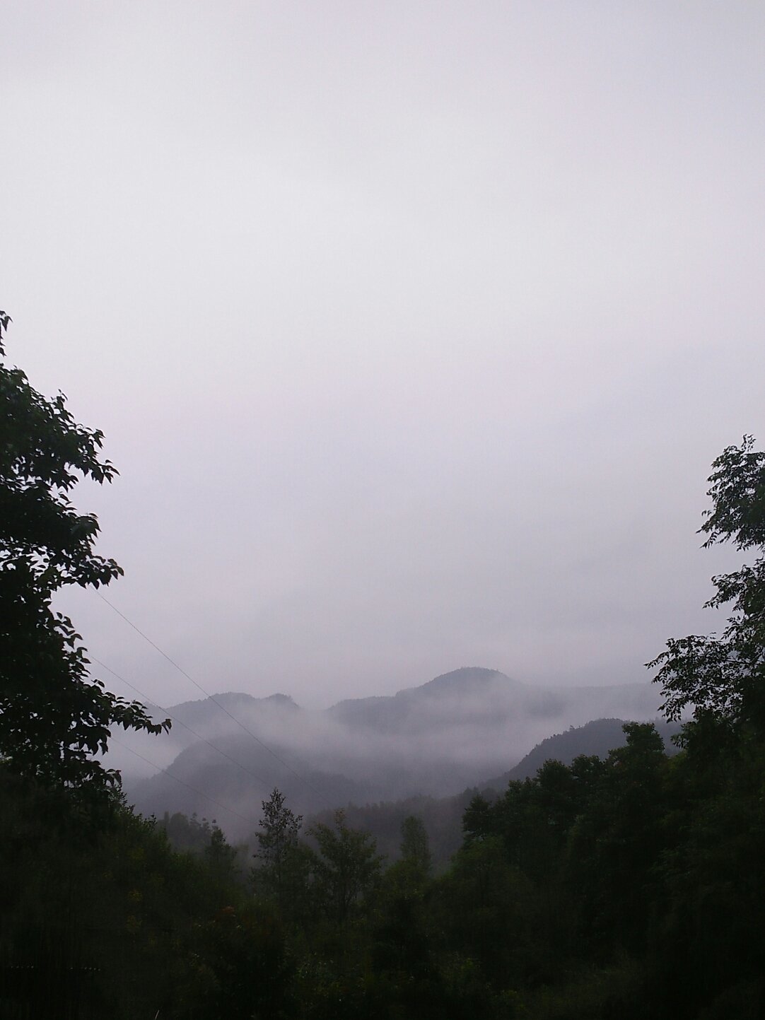 普顺镇最新天气预报,普顺镇最新天气预报