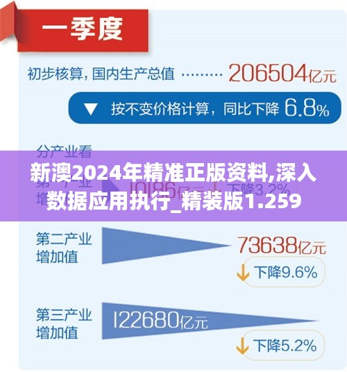 2024新澳最精准资料222期|前景释义解释落实,解析新澳2024年最新资料第222期，前景释义与落实策略