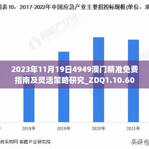 4949澳门精准免费大全2023|鼠窜释义解释落实,澳门精准免费大全2023年展望与鼠窜释义的落实解析