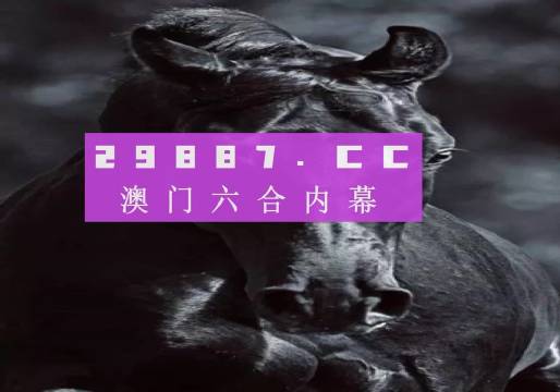 新澳门彩开奖结果2024开奖记录|用户释义解释落实,澳门新彩开奖结果及用户释义解释落实研究