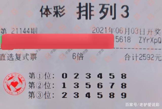 2024年新奥门天天开彩|立刻释义解释落实,解析新澳门天天开彩，释义、实施与影响