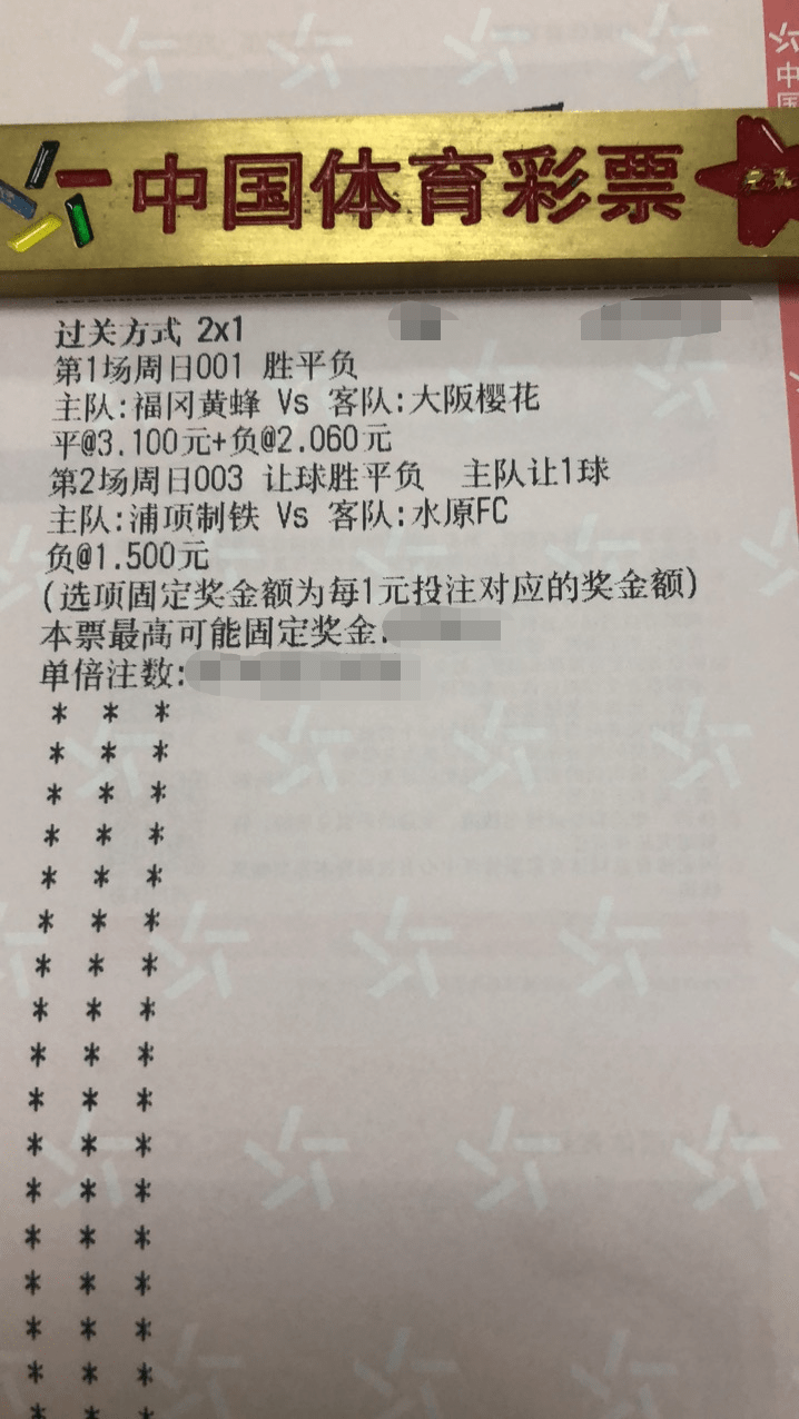 澳门一码一码100准确张子慧|经验释义解释落实,澳门一码一码精准预测与张子慧的经验释义，深度解析与落实之道