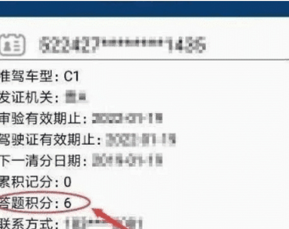 800图库大全免费资料|营运释义解释落实,探索800图库大全免费资料，营运释义与落实的重要性