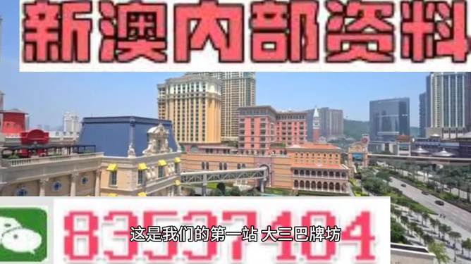 2024澳门精准正版免费|形象释义解释落实,澳门精准正版免费，形象释义、解释与落实的重要性