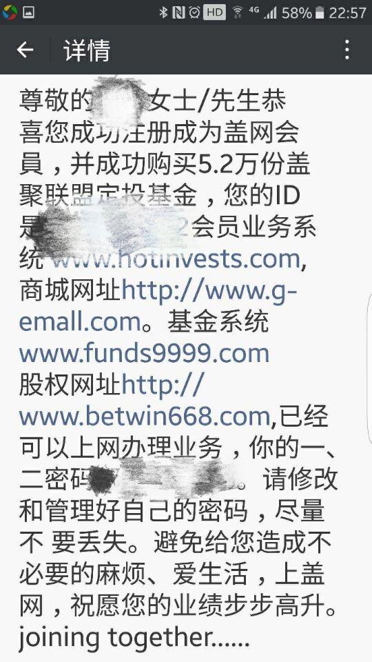 王中王72396网站|式解释义解释落实,关于王中王72396网站及相关问题的探讨