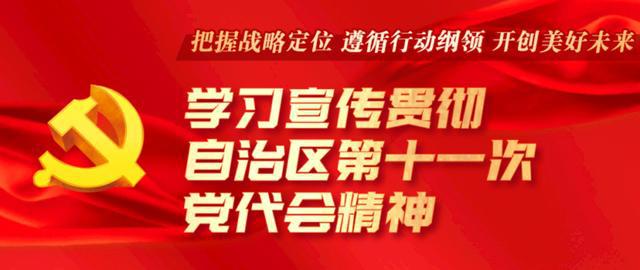 2024年四不像免费资料大全|倡导释义解释落实,迈向未来，探索四不像免费资料大全，倡导释义解释落实的价值观