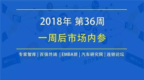 2024新奥马新免费资料|的思释义解释落实,关于新奥马新免费资料的思释义解释与落实策略的文章