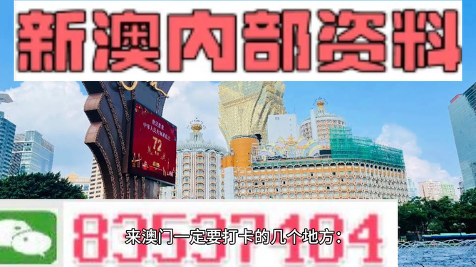 2024年新澳门王中王免费|目标释义解释落实,关于澳门王中王免费与违法犯罪问题的探讨