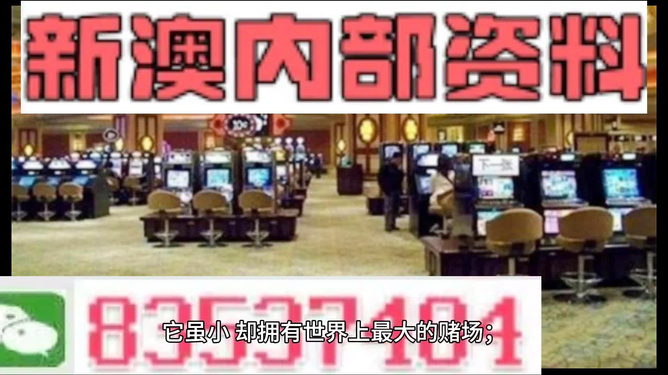 2024新澳门精准资料免费提供|实战释义解释落实,新澳门精准资料提供与实战释义——警惕背后的风险与挑战